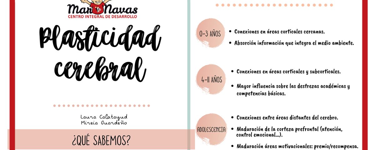 plasticidad cerebral