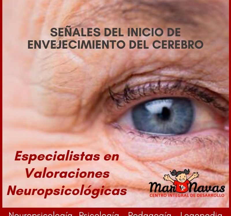 señales del inicio de envejecimiento del cerebro